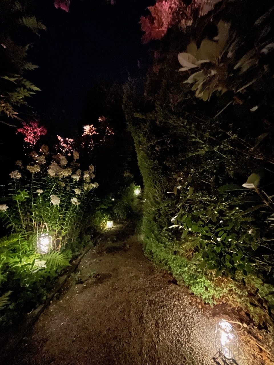 fairy lanterns used for wayfinding along a path